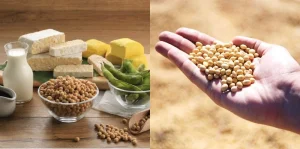 Fakta Menarik Tentang Kedelai Dan Produk Olahannya