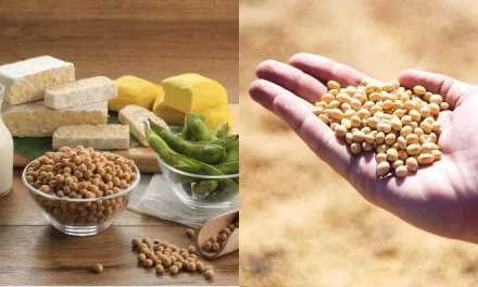 Fakta Menarik Tentang Kedelai Dan Produk Olahannya