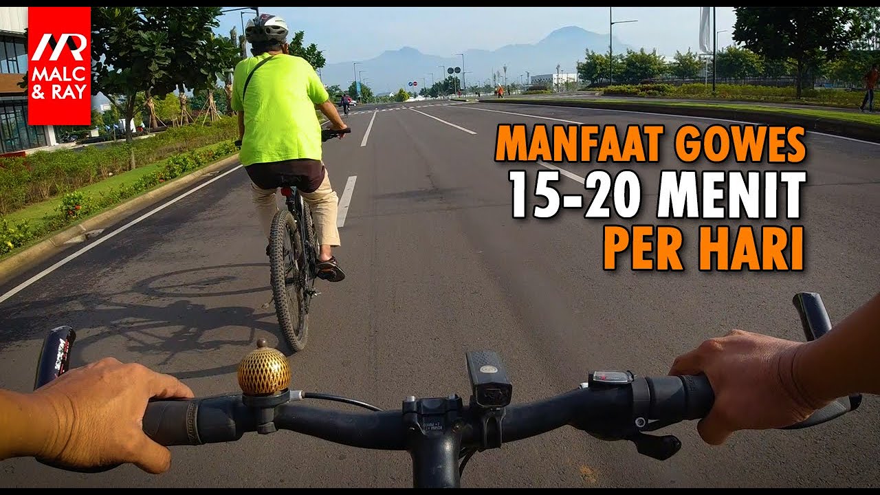 Manfaat Gowes