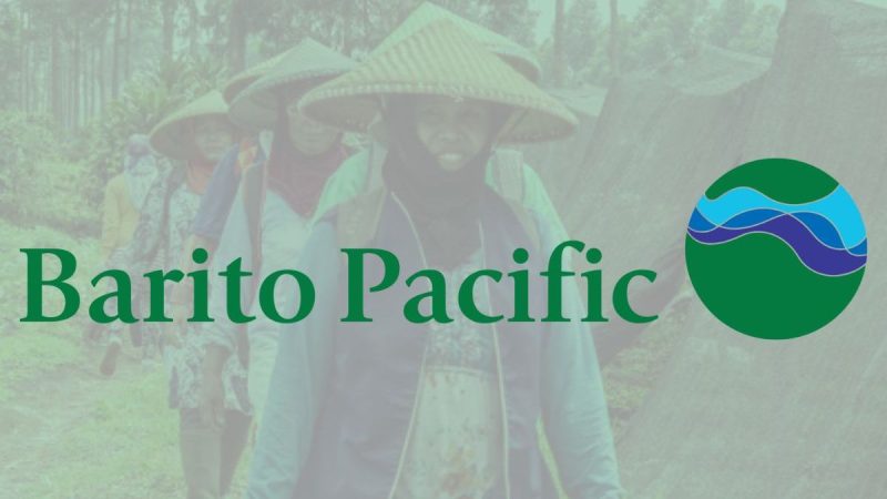Saham BRPT Diversifikasi Bisnis Dan Peluang Jangka Panjang