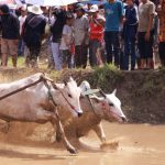 Yuk Intip 3 Daya Tarik Suku Minang Yang Jarang Di Ketahui