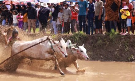 Yuk Intip 3 Daya Tarik Suku Minang Yang Jarang Di Ketahui