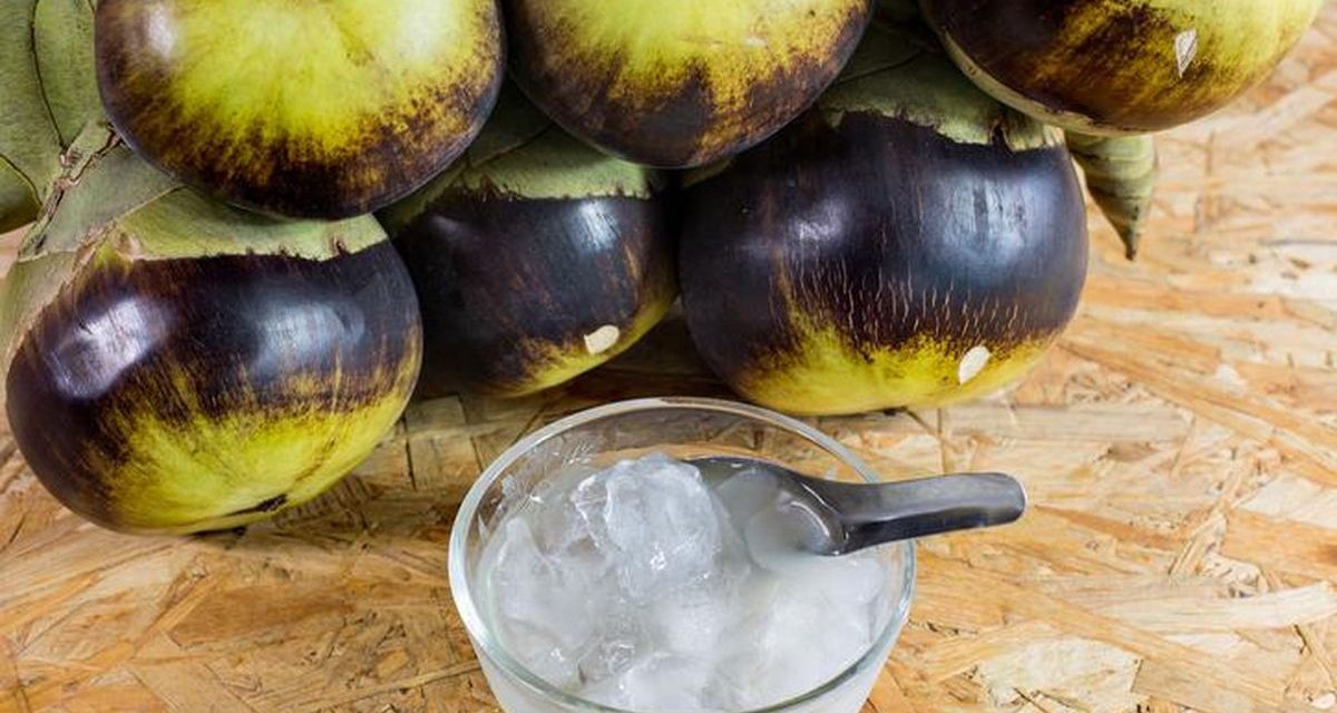Buah Lontar Dengan Rasa Segar Dan Sensasi Dingin Di Mulut